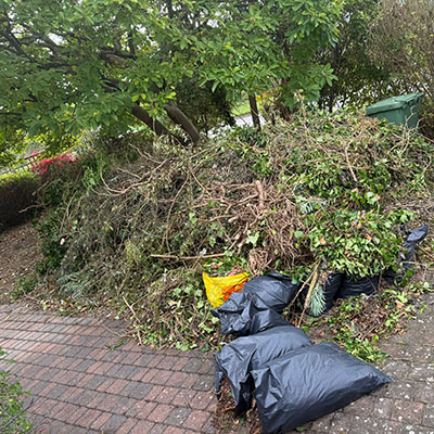 garden waste removal